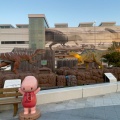 実際訪問したユーザーが直接撮影して投稿した中央広場福井駅西口広場(恐竜広場)の写真