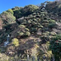 実際訪問したユーザーが直接撮影して投稿した三丁目寺了仙寺の写真