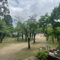 実際訪問したユーザーが直接撮影して投稿した亥鼻公園亥鼻公園の写真