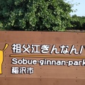 実際訪問したユーザーが直接撮影して投稿した祖父江町山崎公園祖父江ぎんなんパークの写真