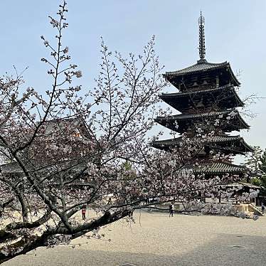 法隆寺 五重塔のundefinedに実際訪問訪問したユーザーunknownさんが新しく投稿した新着口コミの写真