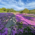 実際訪問したユーザーが直接撮影して投稿した河川立谷川の写真