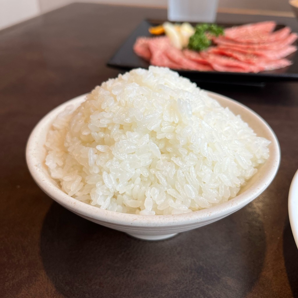 ユーザーが投稿したライスの写真 - 実際訪問したユーザーが直接撮影して投稿した萩島肉料理大陸食道 小山店の写真