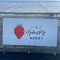 実際訪問したユーザーが直接撮影して投稿した春木いちご狩りいちごhappy berryの写真