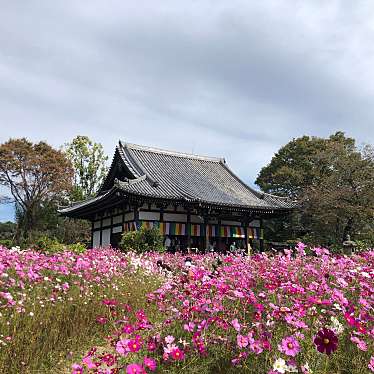 実際訪問したユーザーが直接撮影して投稿した般若寺町寺法性山 般若寺の写真