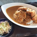 カツカレー - 実際訪問したユーザーが直接撮影して投稿した東光懐石料理 / 割烹博多芙蓉の写真のメニュー情報