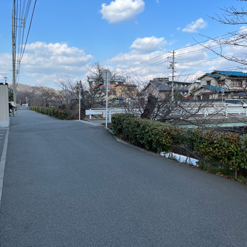 実際訪問したユーザーが直接撮影して投稿した桜町散策路桜土手の写真