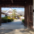 実際訪問したユーザーが直接撮影して投稿した嵯峨大沢町寺大覚寺の写真