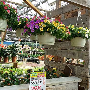 実際訪問したユーザーが直接撮影して投稿した山 / 峠伊木山の写真