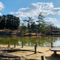 実際訪問したユーザーが直接撮影して投稿した雑司町湖沼 / 池東大寺鏡池の写真