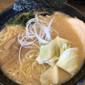 豚骨醤油ラーメン - 実際訪問したユーザーが直接撮影して投稿した宮渕ラーメン専門店ラーメン 白の写真のメニュー情報