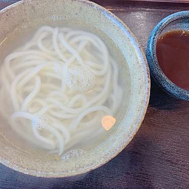 ngttyさんが投稿した吉野うどんのお店元祖しょうゆうどん 小縣家/ガンソショウユウドン オガタヤの写真