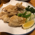 鶏のからあげ - 実際訪問したユーザーが直接撮影して投稿した日本橋茅場町焼鳥やき鳥 宮川の写真のメニュー情報