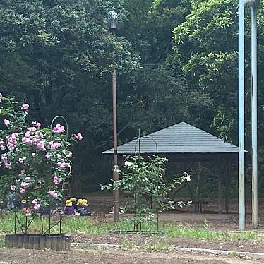 実際訪問したユーザーが直接撮影して投稿した宮崎公園宮崎 第四公園の写真