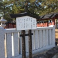 実際訪問したユーザーが直接撮影して投稿した宮島町神社清盛神社の写真