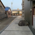 実際訪問したユーザーが直接撮影して投稿した犬山寺妙海寺の写真