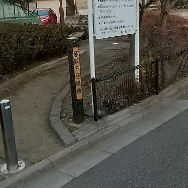 実際訪問したユーザーが直接撮影して投稿した藤原公園藤原5号緑地の写真