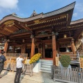 実際訪問したユーザーが直接撮影して投稿した湯島神社湯島天神の写真