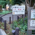 実際訪問したユーザーが直接撮影して投稿した新宿公園花園公園の写真