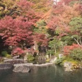 実際訪問したユーザーが直接撮影して投稿した百済寺町寺百済寺の写真