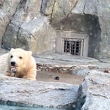 男鹿水族館GAOのundefinedに実際訪問訪問したユーザーunknownさんが新しく投稿した新着口コミの写真