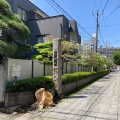 実際訪問したユーザーが直接撮影して投稿した本町寺浄勝寺の写真