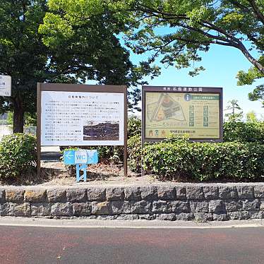 実際訪問したユーザーが直接撮影して投稿した名島公園名島公園の写真