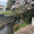 実際訪問したユーザーが直接撮影して投稿した河川境川の写真