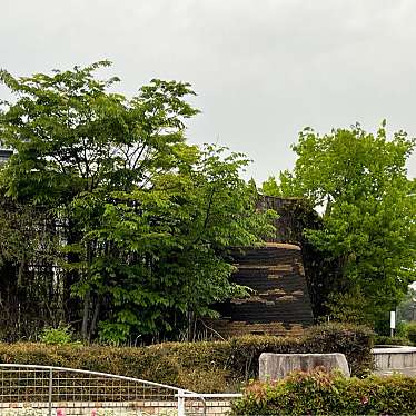 鳴子中央公園のundefinedに実際訪問訪問したユーザーunknownさんが新しく投稿した新着口コミの写真