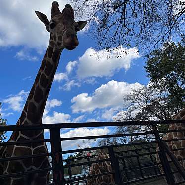 宇都宮動物園のundefinedに実際訪問訪問したユーザーunknownさんが新しく投稿した新着口コミの写真