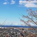 実際訪問したユーザーが直接撮影して投稿した館山城 / 城跡館山城の写真