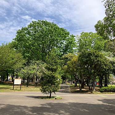 実際訪問したユーザーが直接撮影して投稿した保木間公園元渕江公園の写真