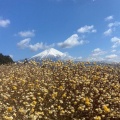 実際訪問したユーザーが直接撮影して投稿した原公園白糸自然公園の写真