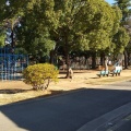 実際訪問したユーザーが直接撮影して投稿した保木間公園元渕江公園の写真