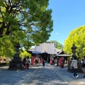 実際訪問したユーザーが直接撮影して投稿した家富町寺鑁阿寺の写真