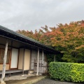 実際訪問したユーザーが直接撮影して投稿した桃山町日本茶専門店一白庵の写真