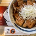 実際訪問したユーザーが直接撮影して投稿した前田五条丼もの十勝豚丼いっぴん 手稲店の写真