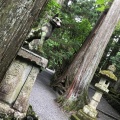 実際訪問したユーザーが直接撮影して投稿した三峰神社三峯神社の写真