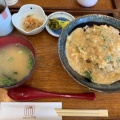 カツ丼 - 実際訪問したユーザーが直接撮影して投稿した八鹿町八鹿定食屋れすとらん やのの写真のメニュー情報