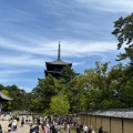 実際訪問したユーザーが直接撮影して投稿した登大路町寺興福寺の写真