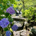 実際訪問したユーザーが直接撮影して投稿した矢田町寺矢田寺の写真