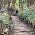 実際訪問したユーザーが直接撮影して投稿した千早山 / 峠金剛山の写真