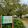 実際訪問したユーザーが直接撮影して投稿した平野バーベキュー場木場公園バーベキュー広場の写真