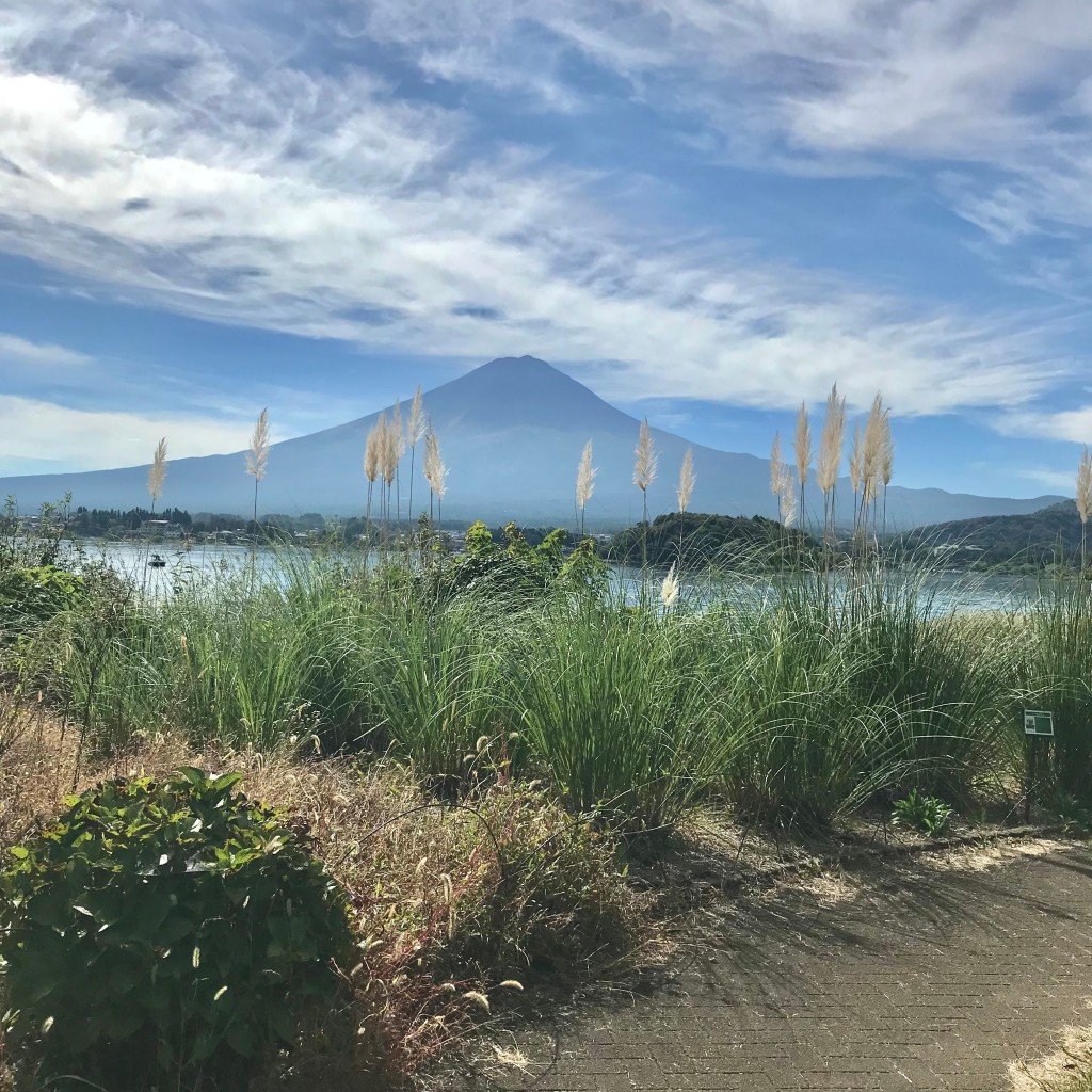 [富士吉田市おすすめ観光スポット🚗🍁]をテーマに、LINE PLACEのユーザー色んなところのぱんらばーさんがおすすめするグルメ店リストの代表写真