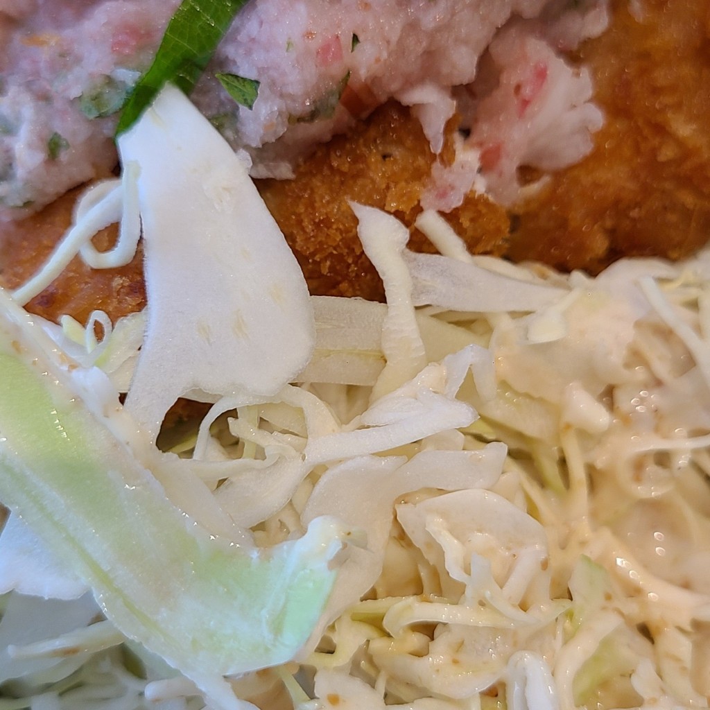 ユーザーが投稿した梅オロシカツ定食の写真 - 実際訪問したユーザーが直接撮影して投稿した新浜町とんかつ豚屋とん一 イオンモール草津店の写真
