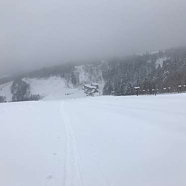 実際訪問したユーザーが直接撮影して投稿した川上スキー場中山峠スキー場の写真