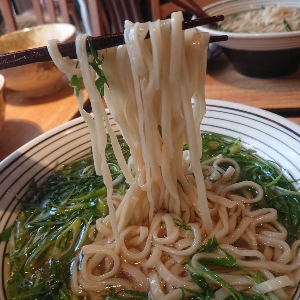 ユーザーが投稿した緑茂る京都家村さんの九条葱らぁ麺の写真 - 実際訪問したユーザーが直接撮影して投稿した中崎西居酒屋ハライッパイの写真