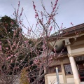 実際訪問したユーザーが直接撮影して投稿した西公園神社光雲神社の写真