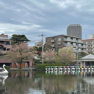 石神井公園のundefinedに実際訪問訪問したユーザーunknownさんが新しく投稿した新着口コミの写真