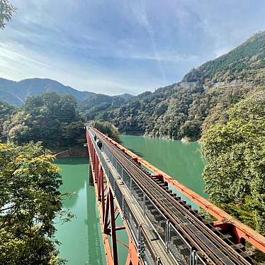 実際訪問したユーザーが直接撮影して投稿した犬間駅（代表）奥大井湖上駅 (大井川鐵道井川線)の写真